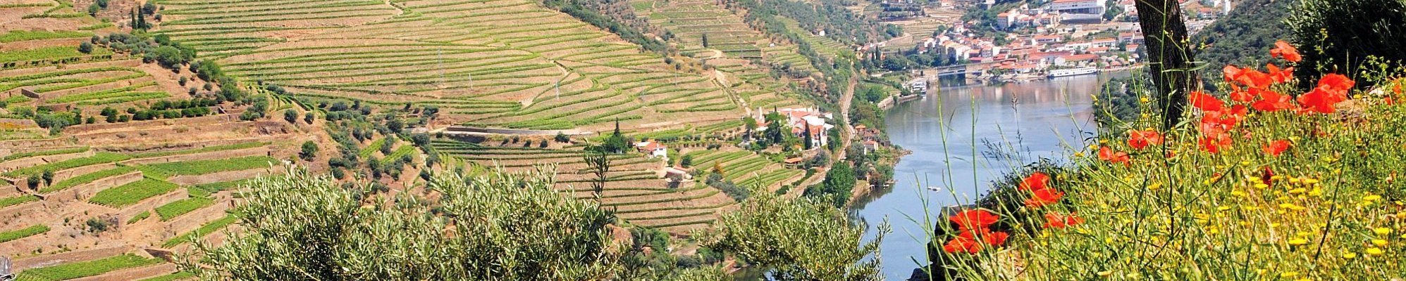 Flusskreuzfahrt auf dem Douro