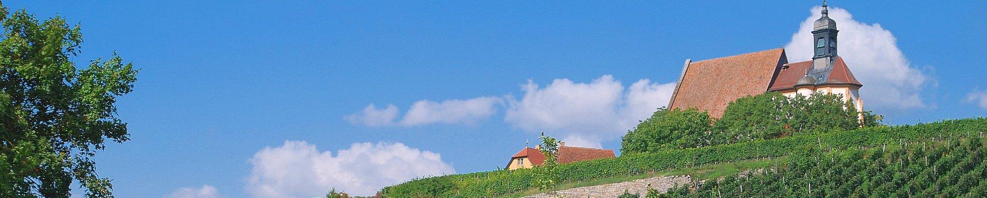 In den fränkischen Weinbergen