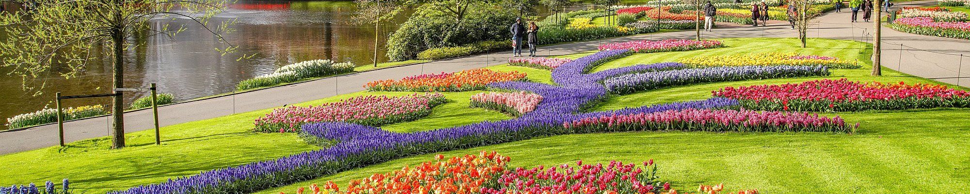 Keukenhof - Busreise nach Holland und Belgien - Tulpenblüte mal anders