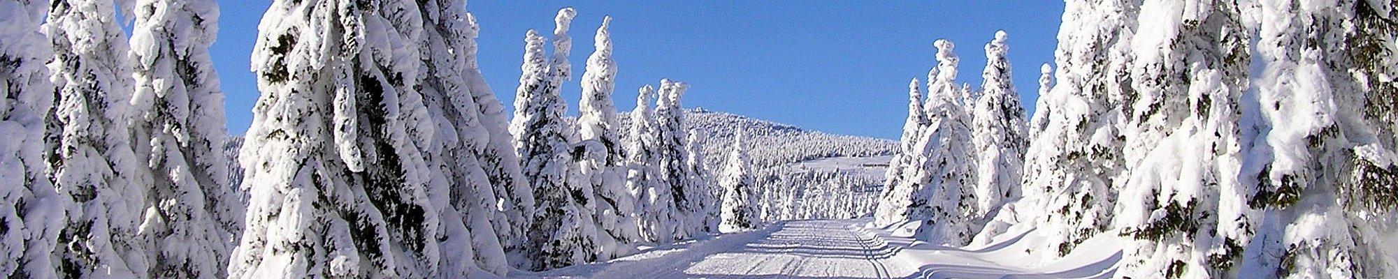 Riesengebirge in Winter © Drahushka auf Pixabay