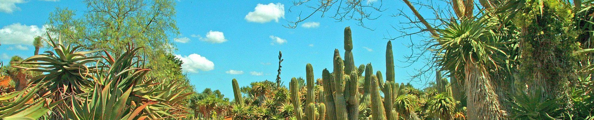 Genießer - Reise Mallorca - Soller Botanischer Garten