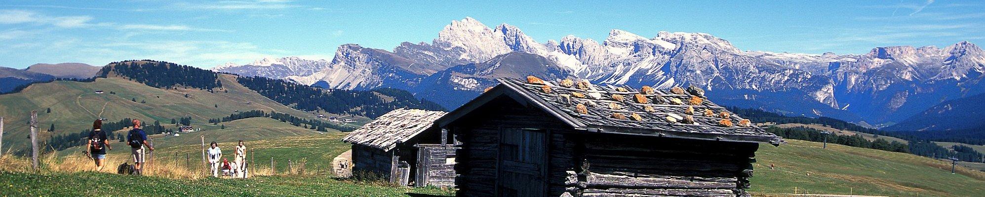 Südtirol - auf der Seiseralm