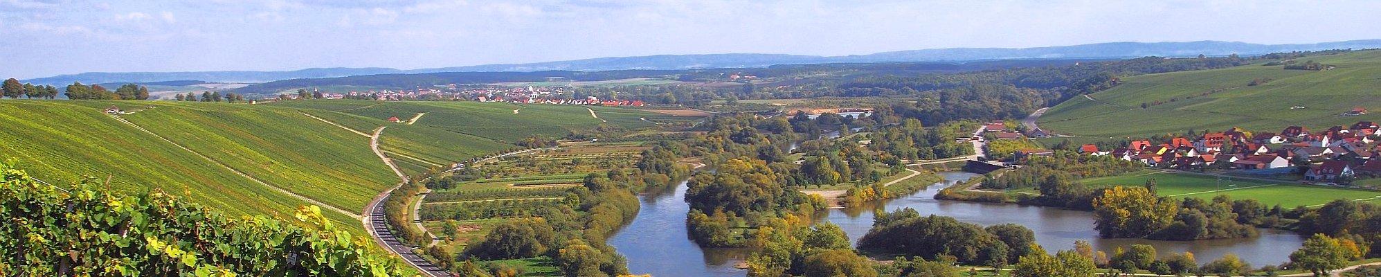 Weinberge an der Mainschleife bei Volkach