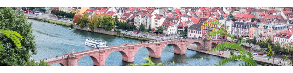 Bei unserer Reise nach Heidelberg und an die Bergstraße erleben Sie das geschichtsträchtige Mainz mit seinem beeindruckenden Dom, Heidelberg mit seiner einzigartigen Stadtkulisse mit dem Schloss hoch über der Stadt und der verwinkelten Altstadt und die Perlenkette malerischer alter Fachwerkstädte im Odenwald und an der Bergstraße