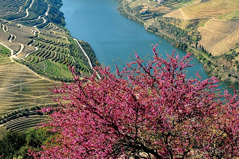 Flusskreuzfahrt auf dem Douro